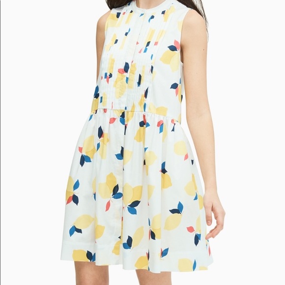 kate spade Dresses & Skirts - Kate Spade | Lemon Zest Shirt Dress Size XL